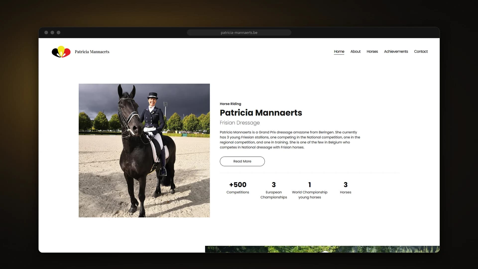 Homepage introduction with career statistics