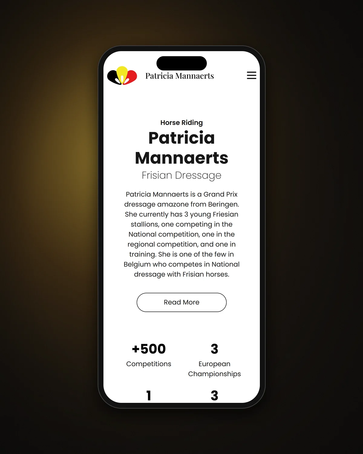 Homepage introduction on a phone