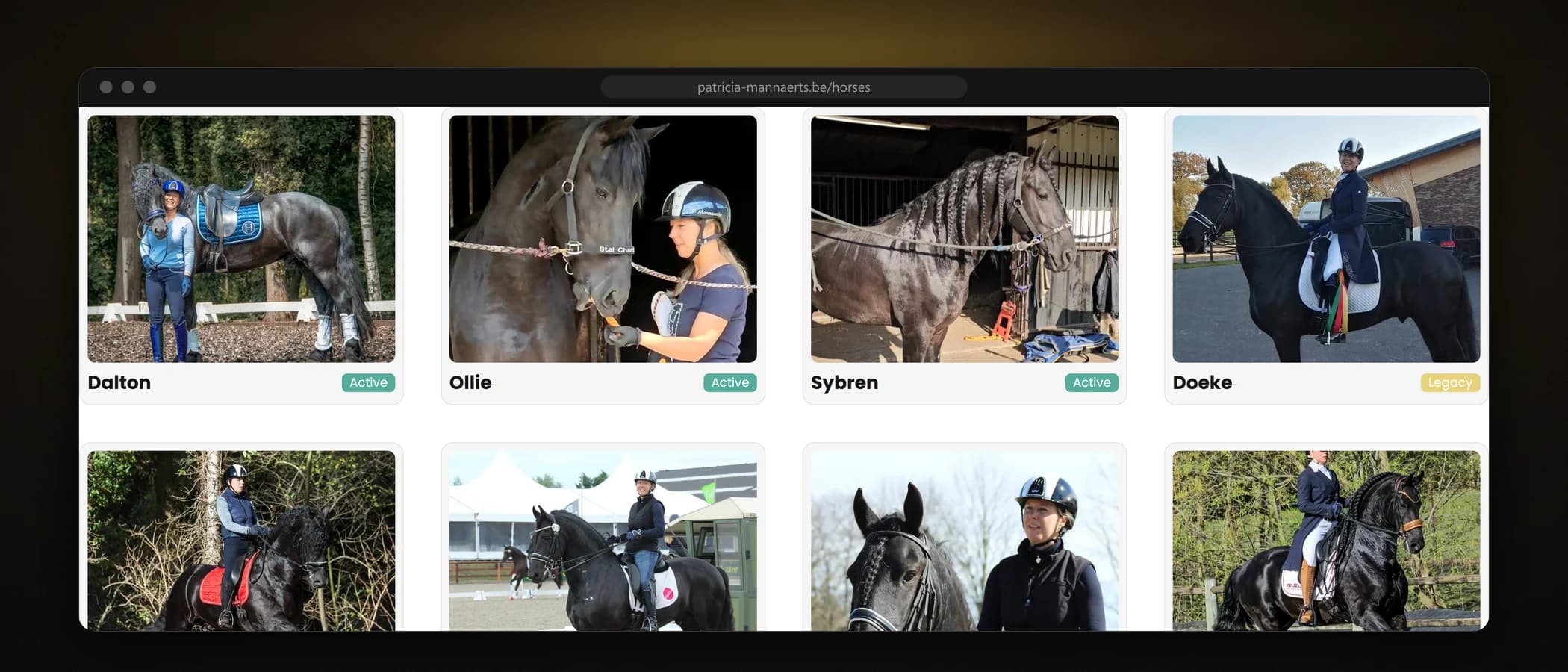 Horse roster with Dalton, Ollie, Sybren, Doeke and more, each with a status